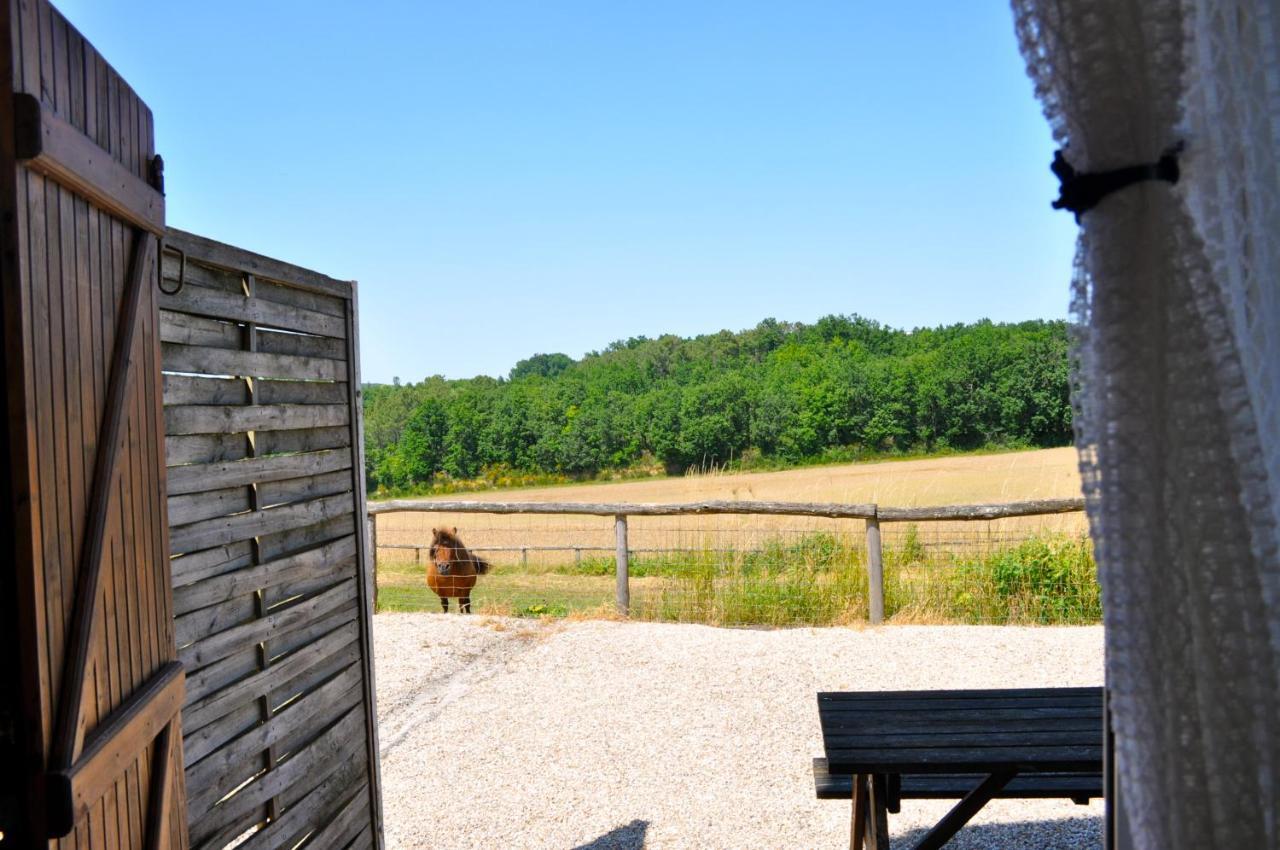 Willa La Ferme Couderc Castelnaud-de-Gratecambe Zewnętrze zdjęcie